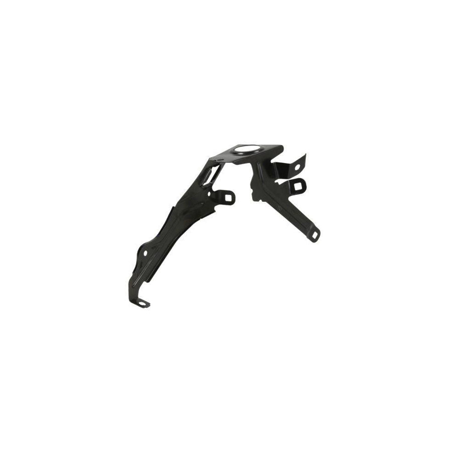 Blic 7802-03-0067384Gp Holder, Mudguard For BMW 5 Gt (F07)