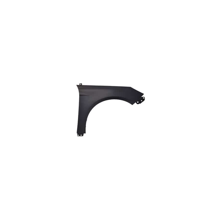 Abakus 01753202 Wing Fender for Ford Focus