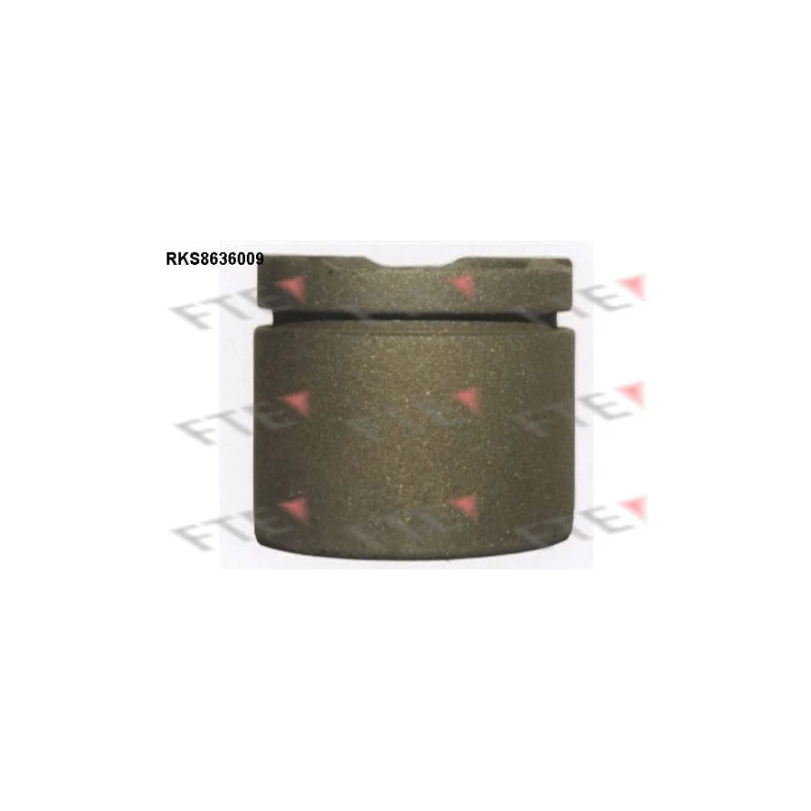 FTE Rks8636009 Piston, Brake Caliper