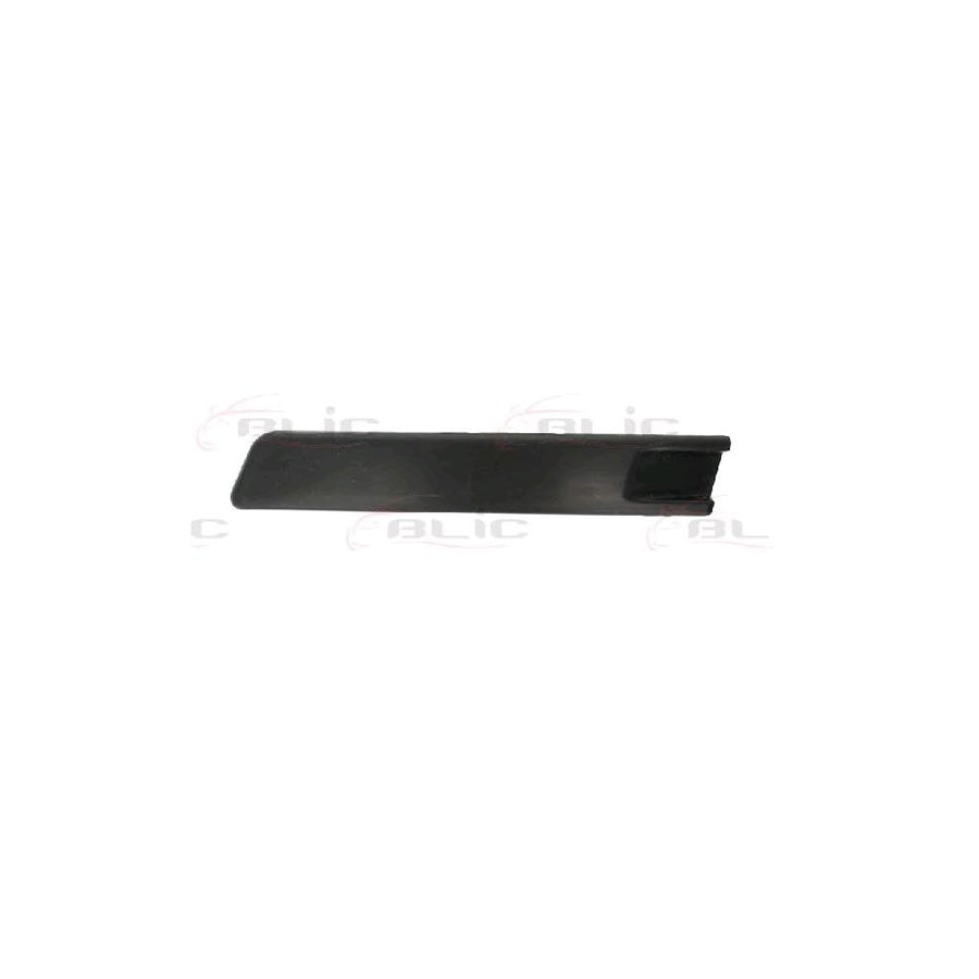 Blic 5703-05-9540925P Bumper Moulding For VW Passat