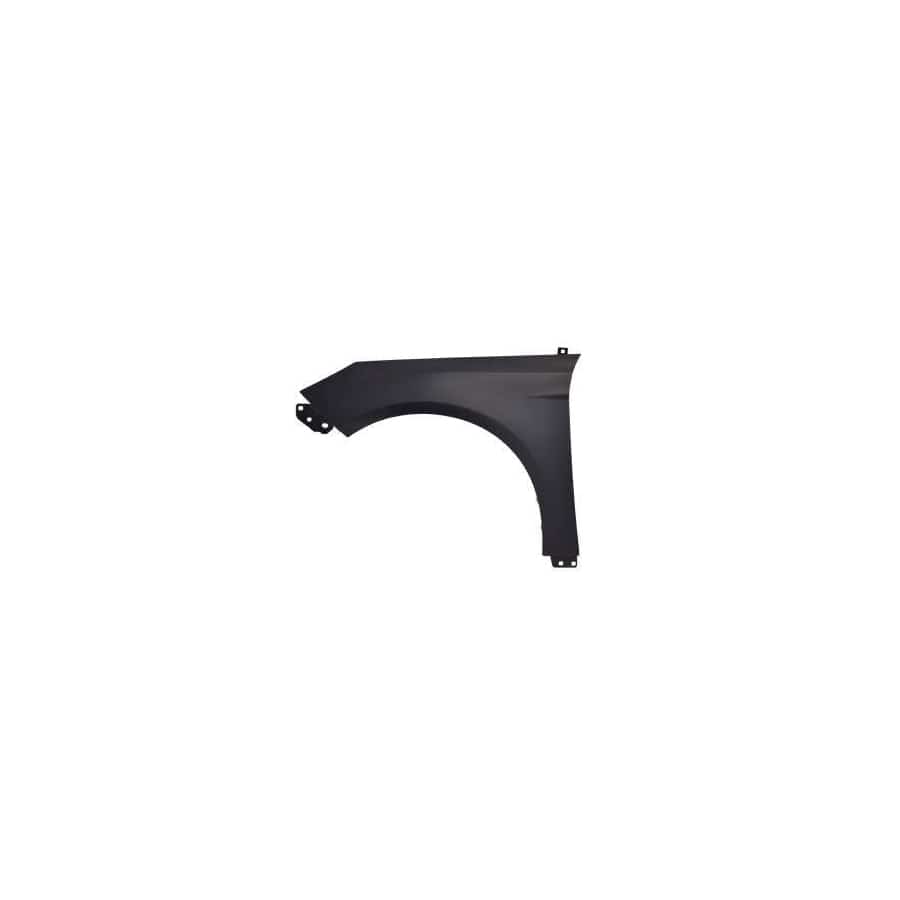 Abakus 01753201 Wing Fender for Ford Focus