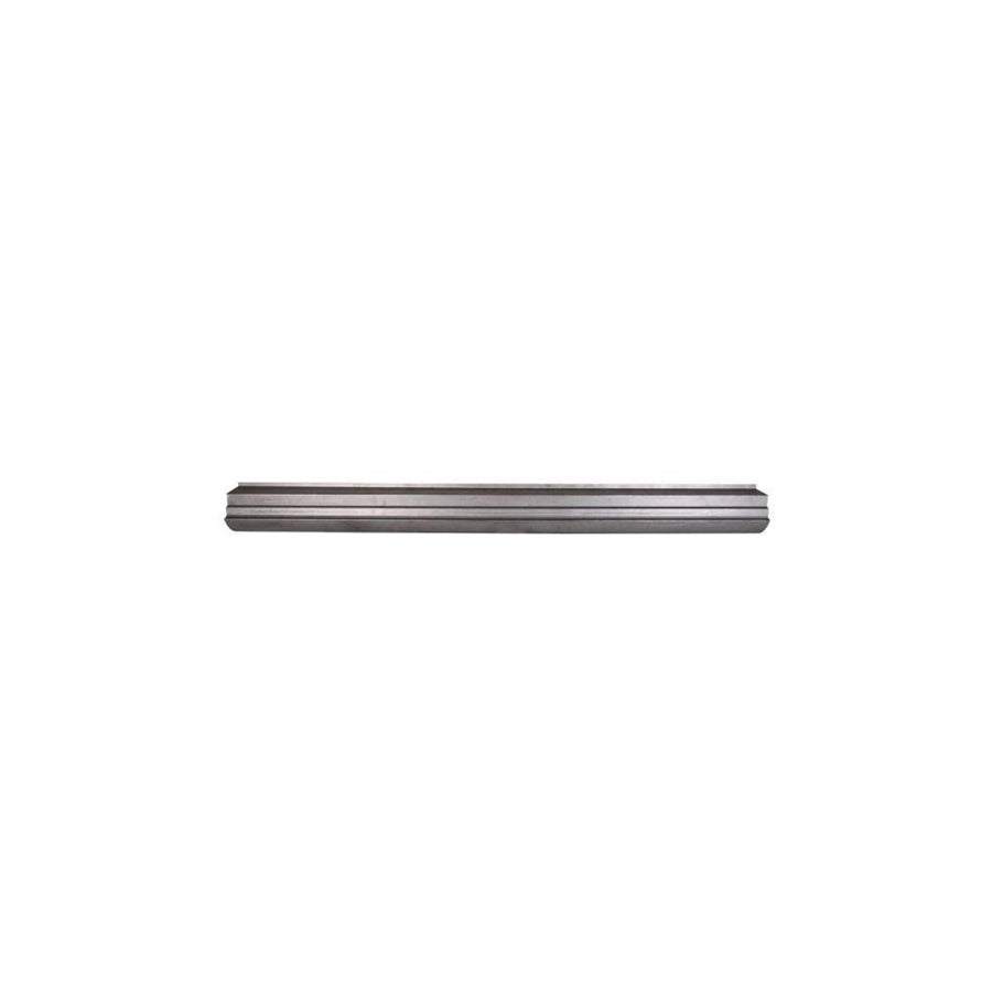 Blic 1020-01-036343P Rocker Panel For VW Phaeton (3D1, 3D2, 3D3, 3D4, 3D6, 3D7, 3D8, 3D9)