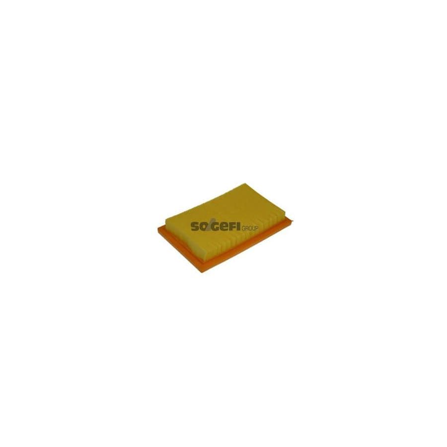 Purflux A1031 Air Filter