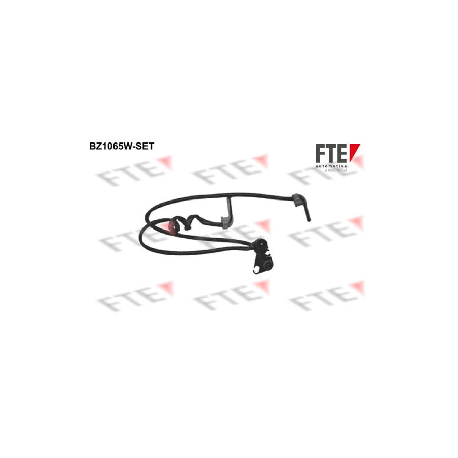 FTE Bz1065W-Set Brake Pad Wear Sensor