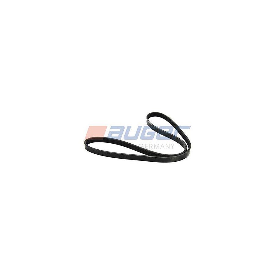 Auger 80123 V-Ribbed Belt