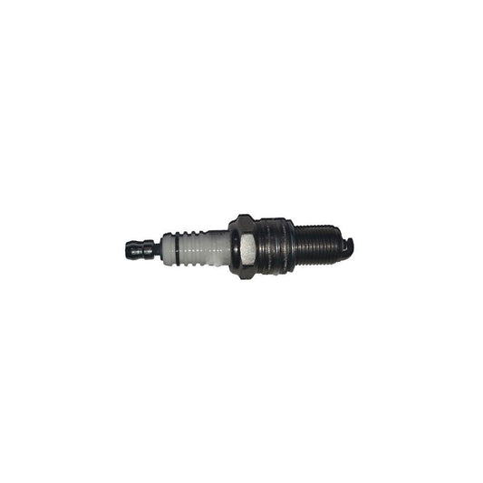 Spark Plug BUGIAD Bsp24723