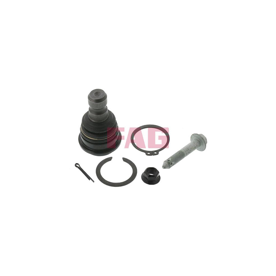 FAG 825 0081 10 Ball Joint