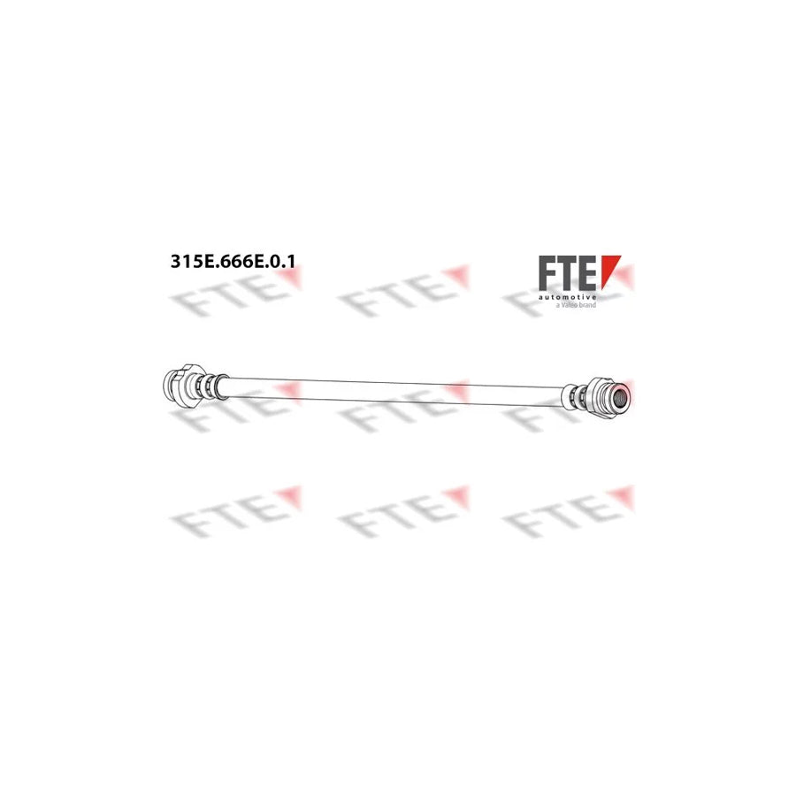 FTE 9240936 Brake Hose for Nissan Almera