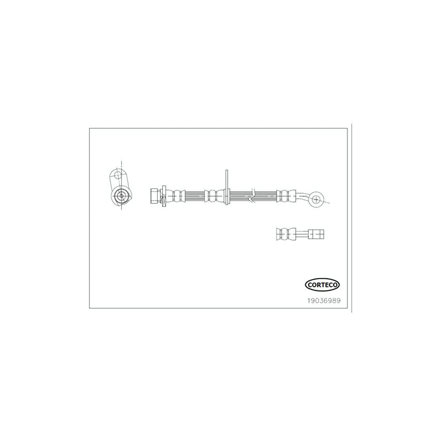 Corteco 19036989 Brake Hose