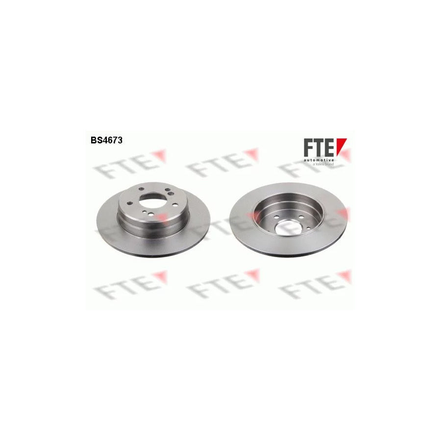 FTE Bs4673 Brake Disc