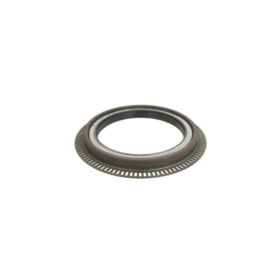 BTA B06-2018 Shaft Seal, Wheel Bearing