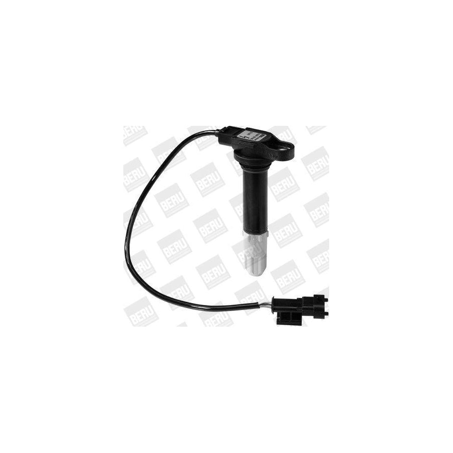 Beru Ger005 Alternator Regulator