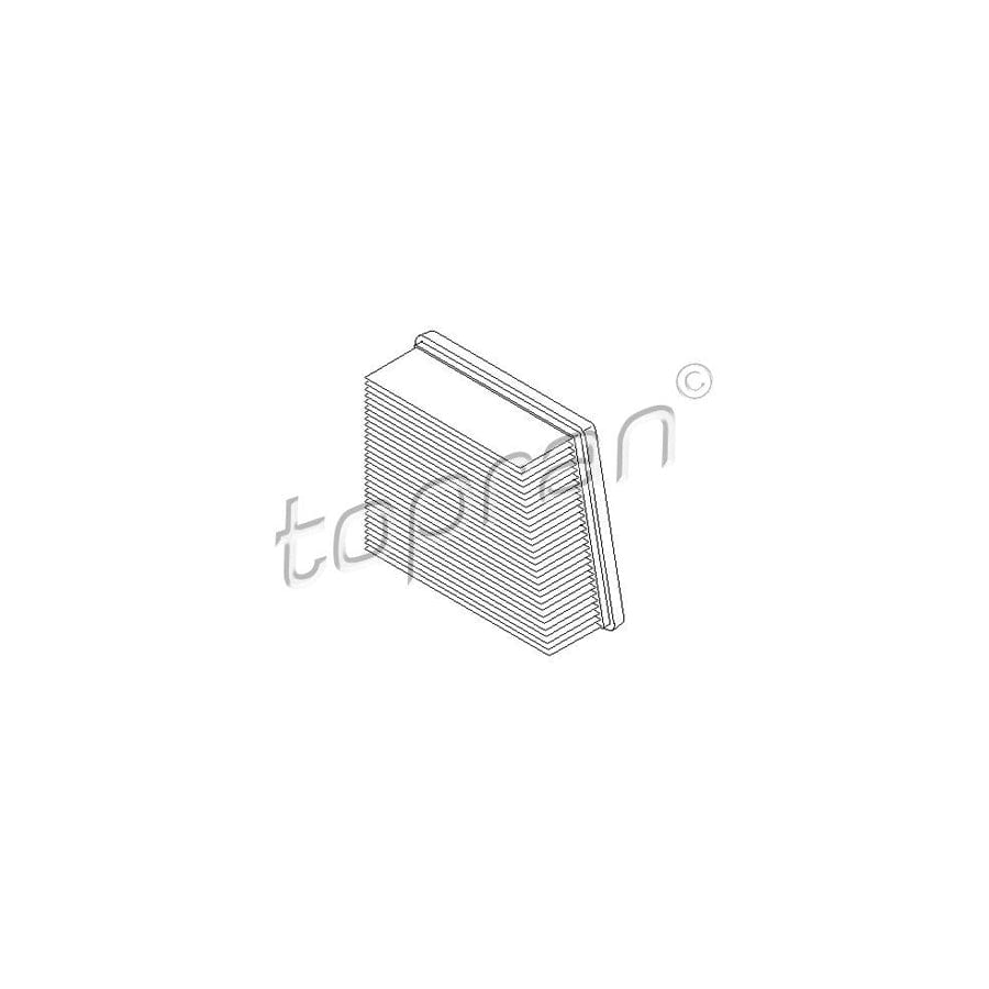 Topran 304 054 Air Filter