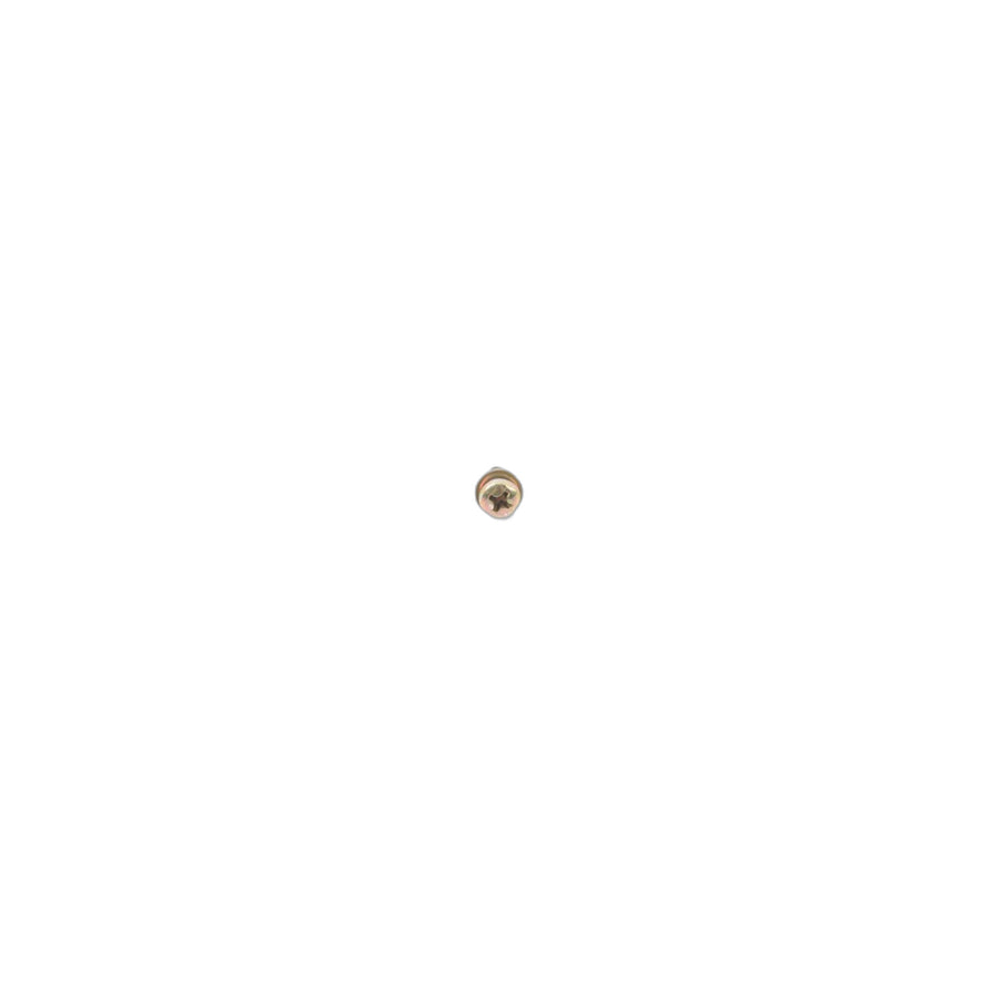Genuine BMW 07119907913 E24 E31 Fillister Head Self-Tapping Screw ST3,5X9,5-Z1 (Inc. 520i, 850Ci & 750iLS) | ML Performance US Car Parts