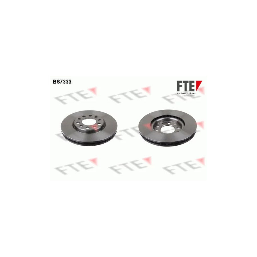 FTE 9072543 Brake Disc