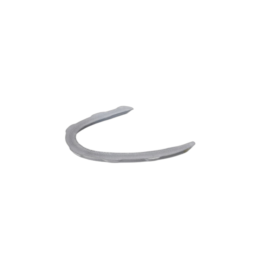 Genuine BMW 51357033809 E60 Seal, Left Side Window Closing Plate (Inc. 525i, 523i & 535d) | ML Performance US Car Parts