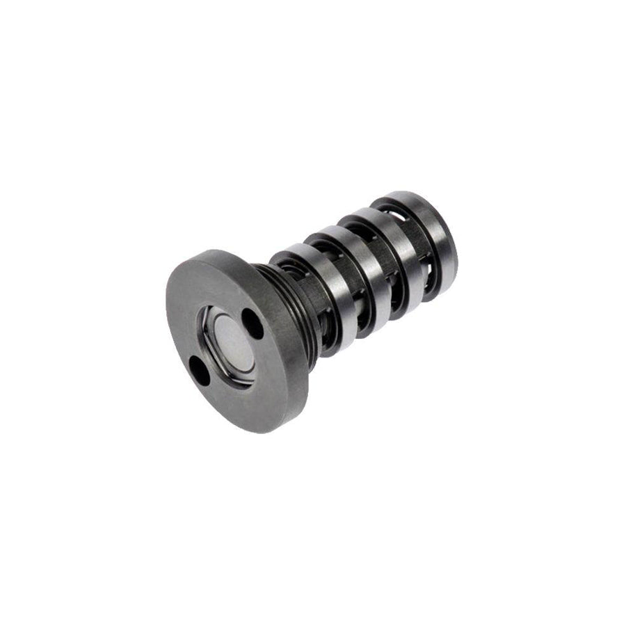 BUGIAD Bms54506 Camshaft Adjustment Valve