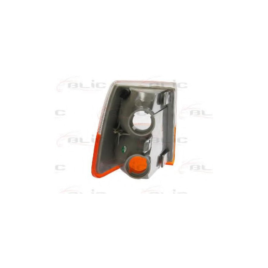 Blic 5403-24-002101P Side Indicator