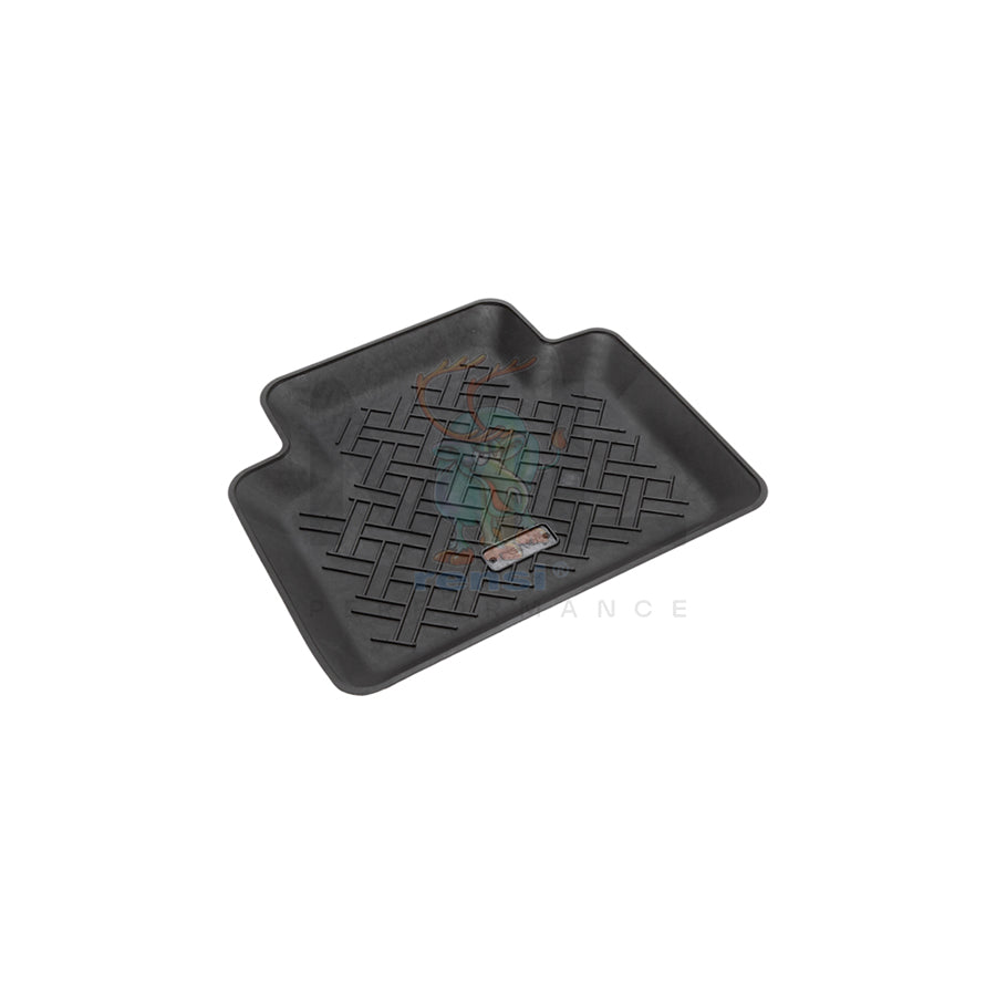 RENSI 900-1 Floor Mat Left Rear, Right Rear