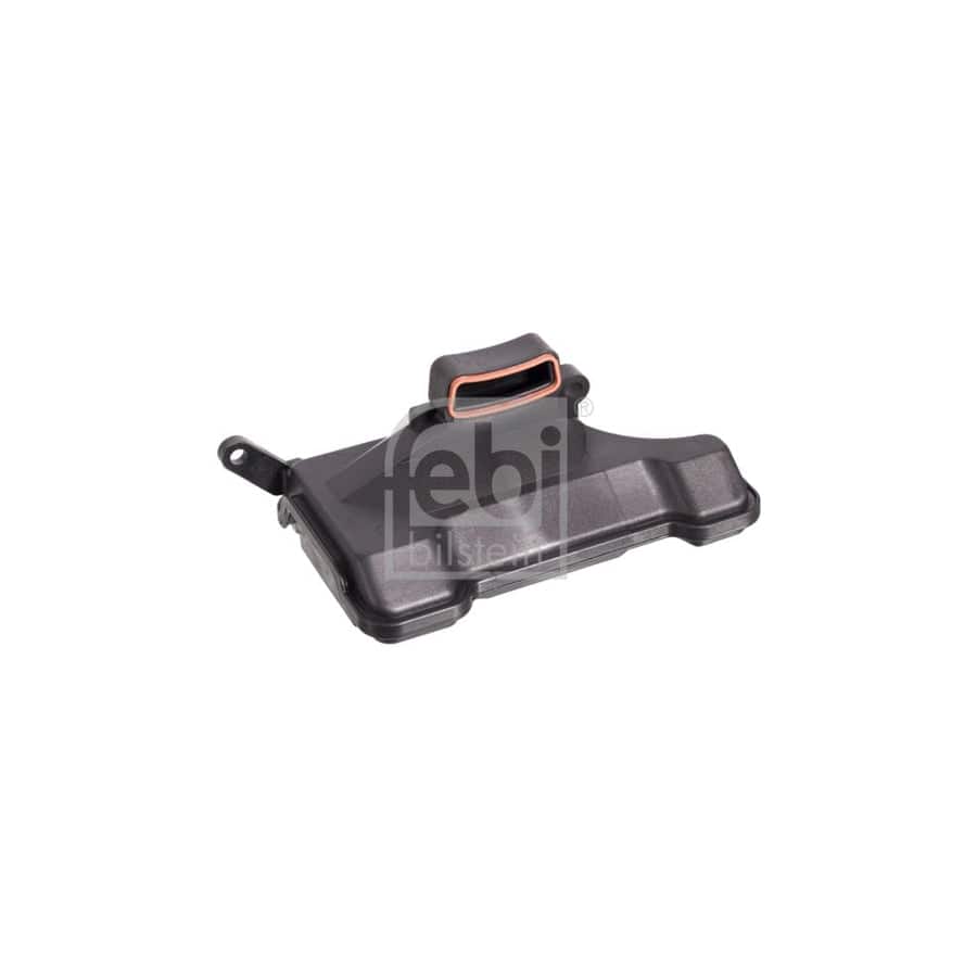 Febi Bilstein 106625 Guides, Timing Chain