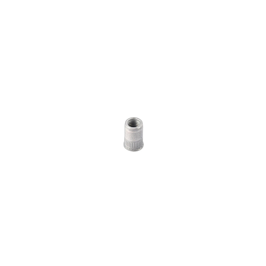 Genuine BMW 07147206553 RR11 EWB Blind Rivet Nut, Countersunk Head M8 (Inc. Phantom EWB, Phantom & i8) | ML Performance US Car Parts