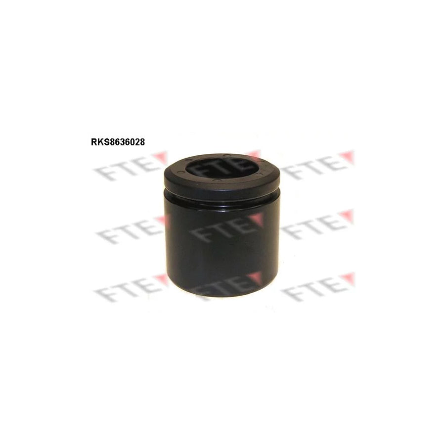 FTE Rks8636028 Piston, Brake Caliper