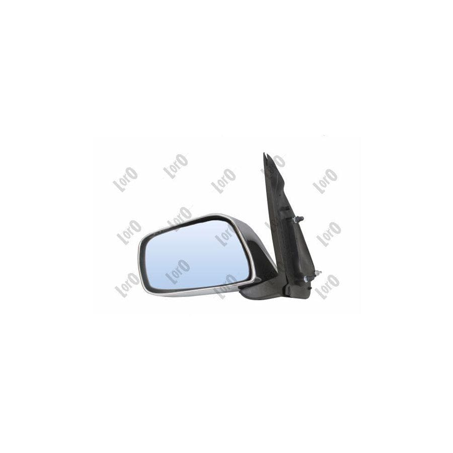 Abakus 2714M19 Wing Mirror for Nissan Navara