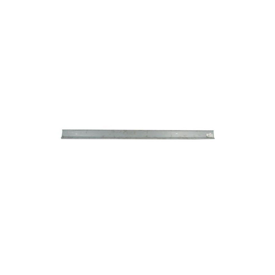 Blic 6505-06-2911019P Rocker Panel