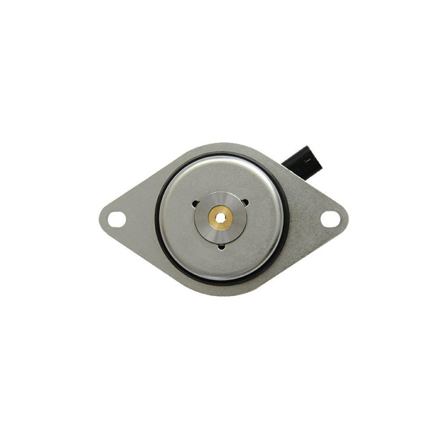 BUGIAD Bms54531 Central Magnet, Camshaft Adjustment