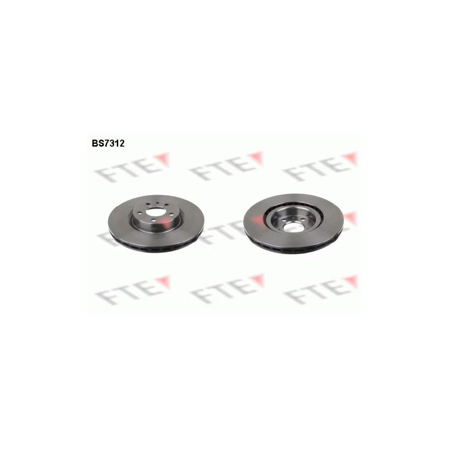 FTE 9072533 Brake Disc for Fiat 500L (351, 352)