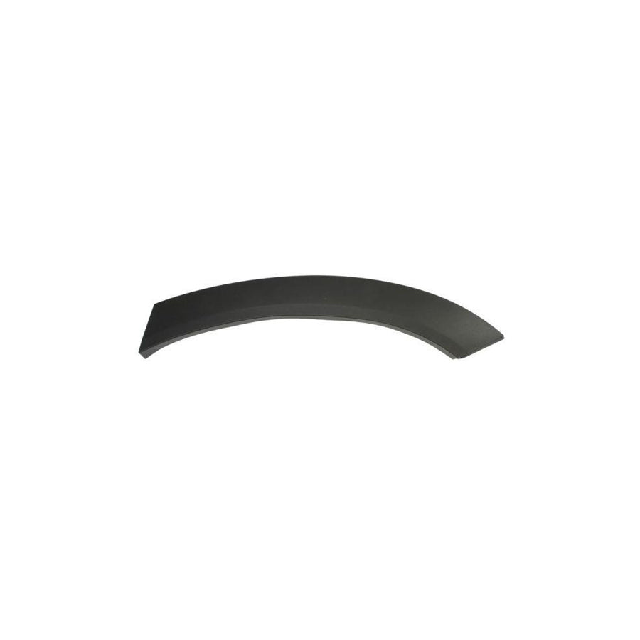 Blic 5703-04-3184473P Trim / Protective Strip, Mudguard