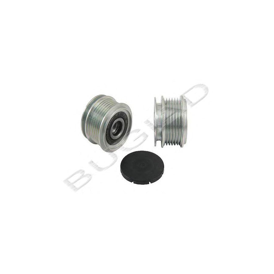Bugiad Bsp22232 Pulley, Alternator