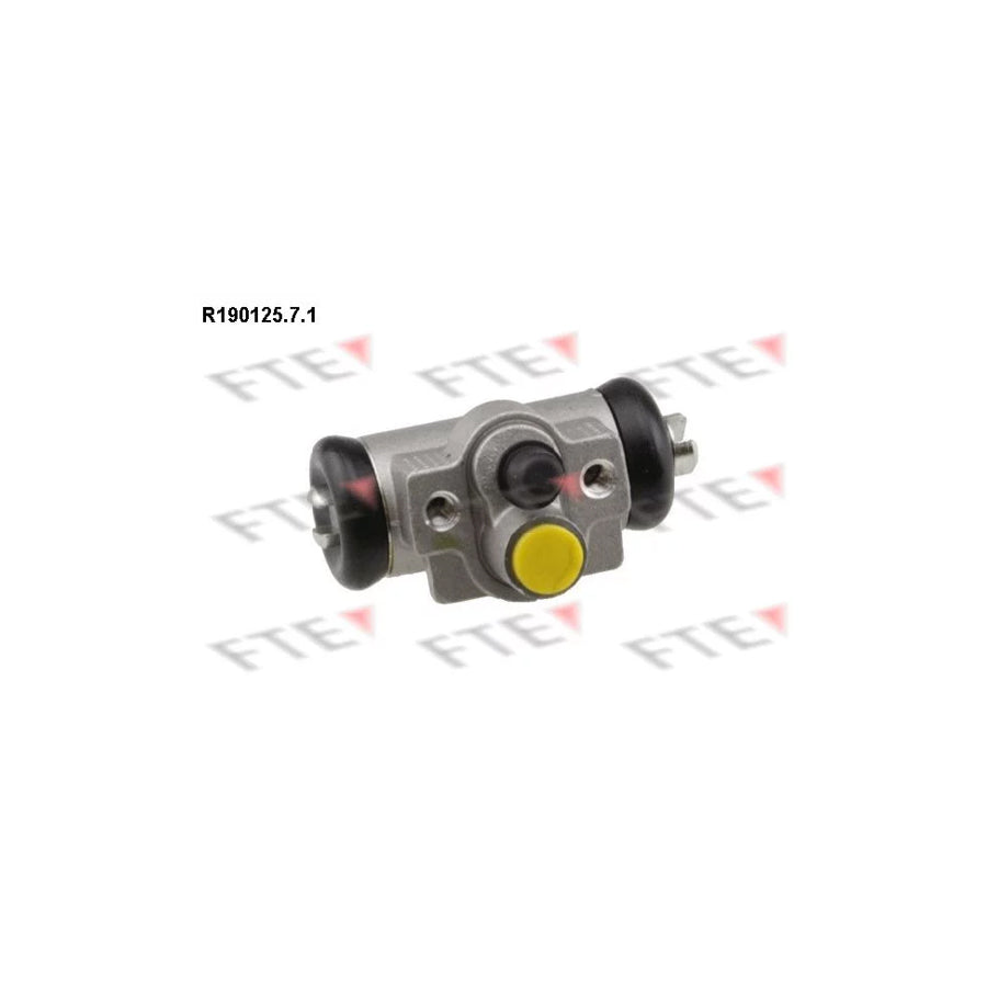 FTE R190125.7.1 Wheel Brake Cylinder