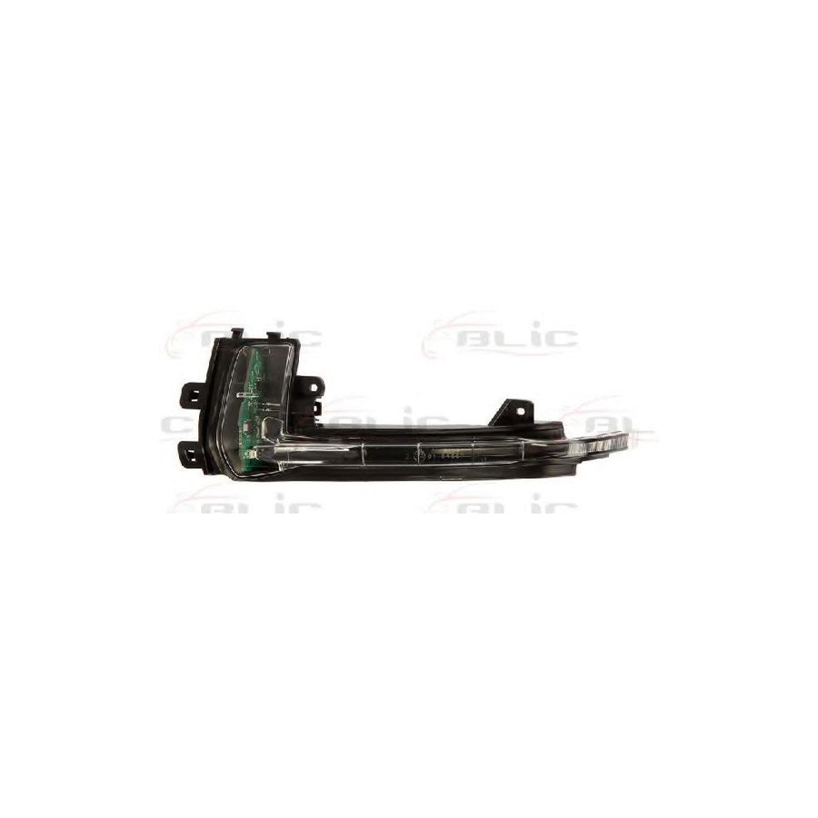 Blic 5403-25-049105P Side Indicator