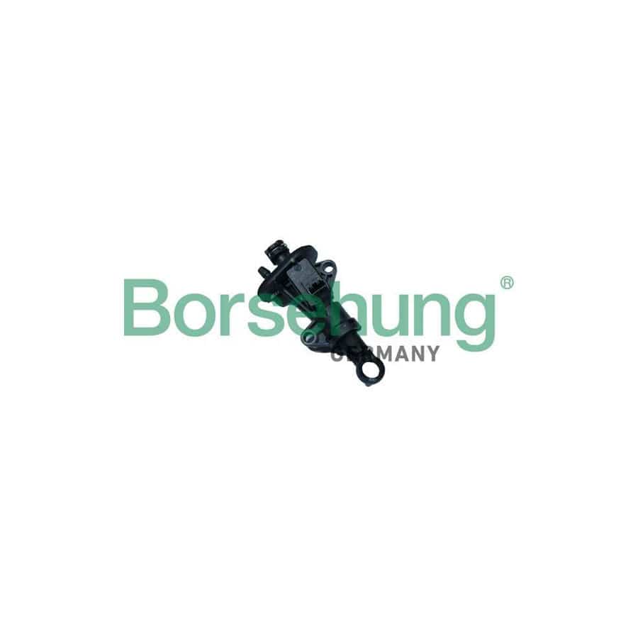 Borsehung B17870 Master Cylinder, Clutch