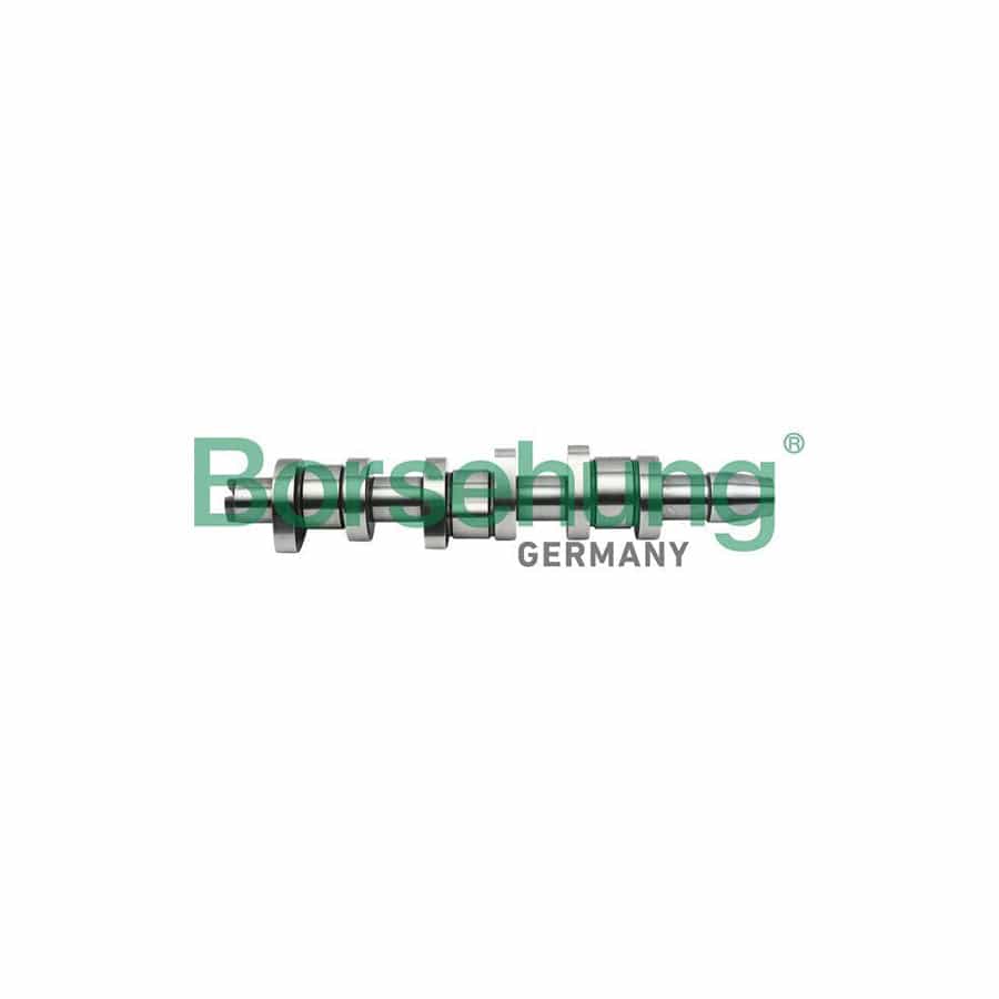 Borsehung B17862 Camshaft