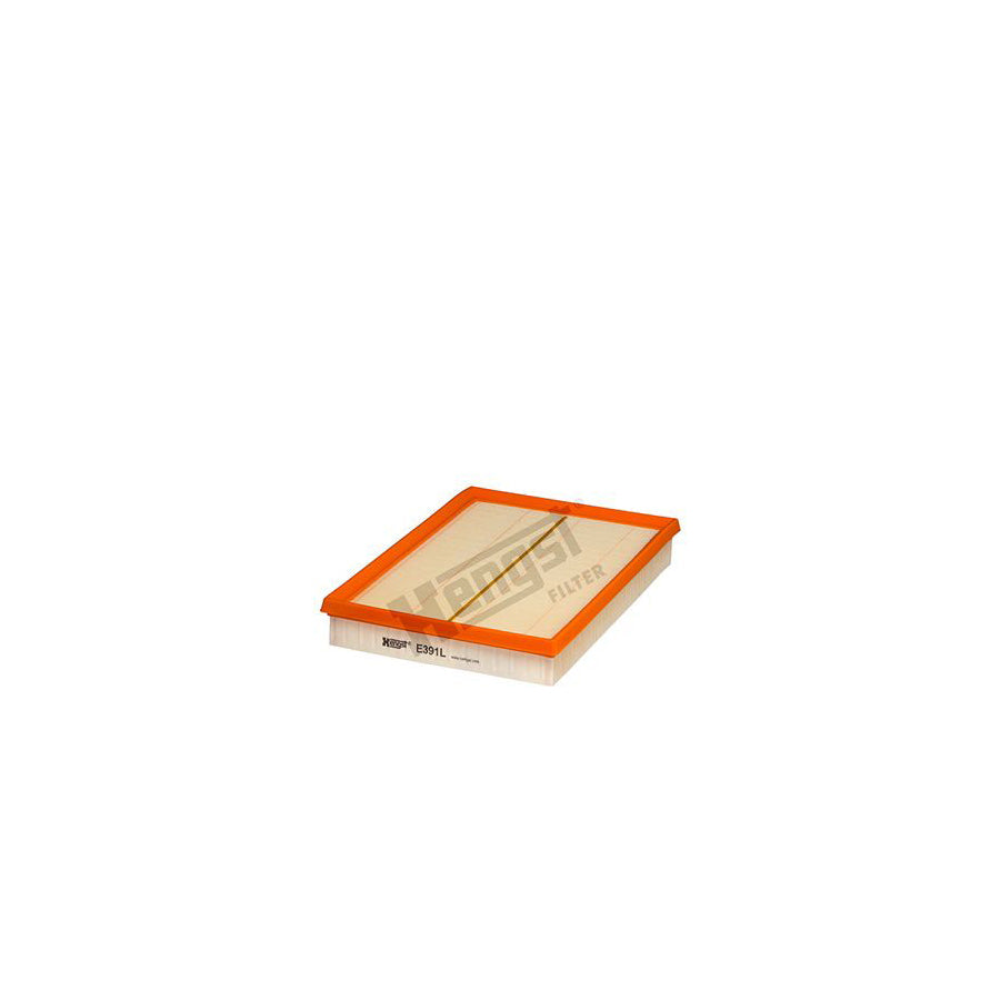 Hengst Filter E391L Air Filter