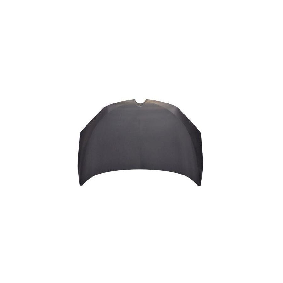 Abakus 04236100 Bonnet for Renault Megane