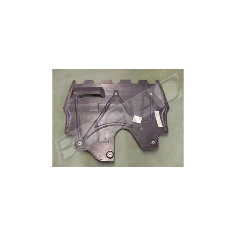 BUGIAD Bsp22557 Silencing Material, Engine Bay