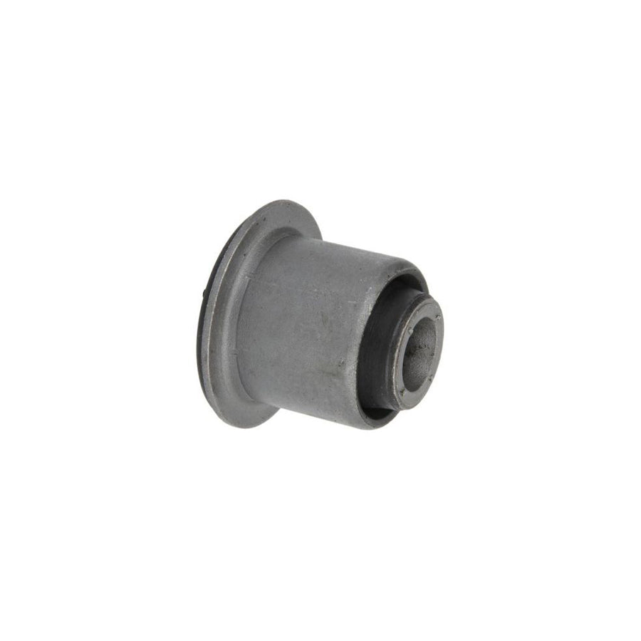 Reinhoch Rh142040 Control Arm / Trailing Arm Bush