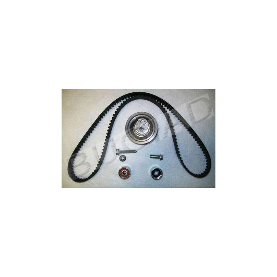 BUGIAD Bsp22555 Timing Belt Kit