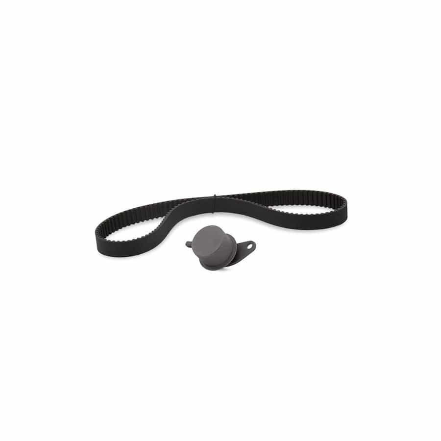Febi Bilstein 11028 Timing Belt Kit