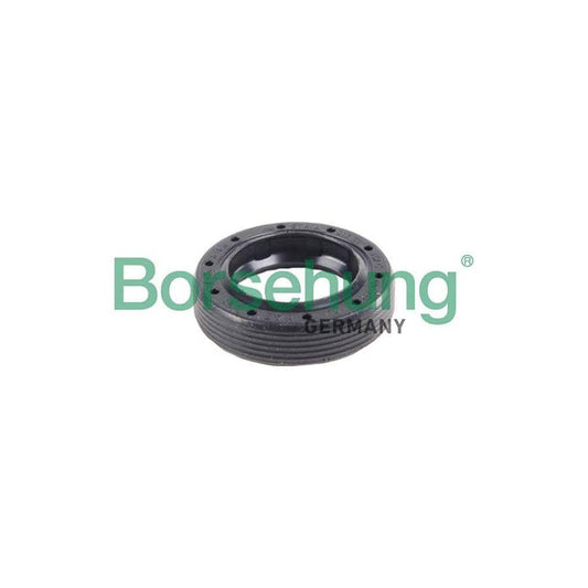 Borsehung B17838 Shaft Seal, Manual Transmission