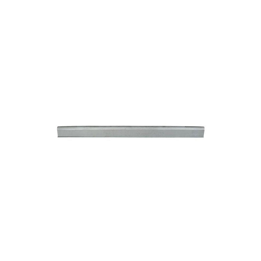 Blic 6505-06-2919015P Rocker Panel For Honda Prelude V (Bb)