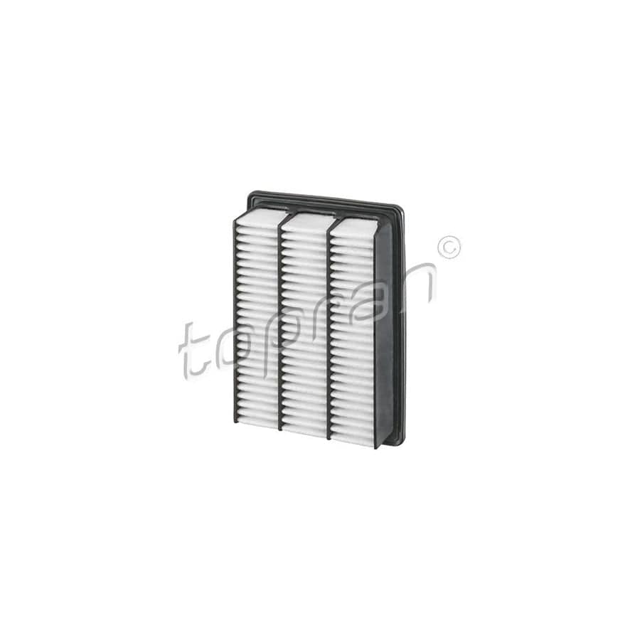 Topran 820 102 Air Filter For Hyundai Santa Fe II (Cm)