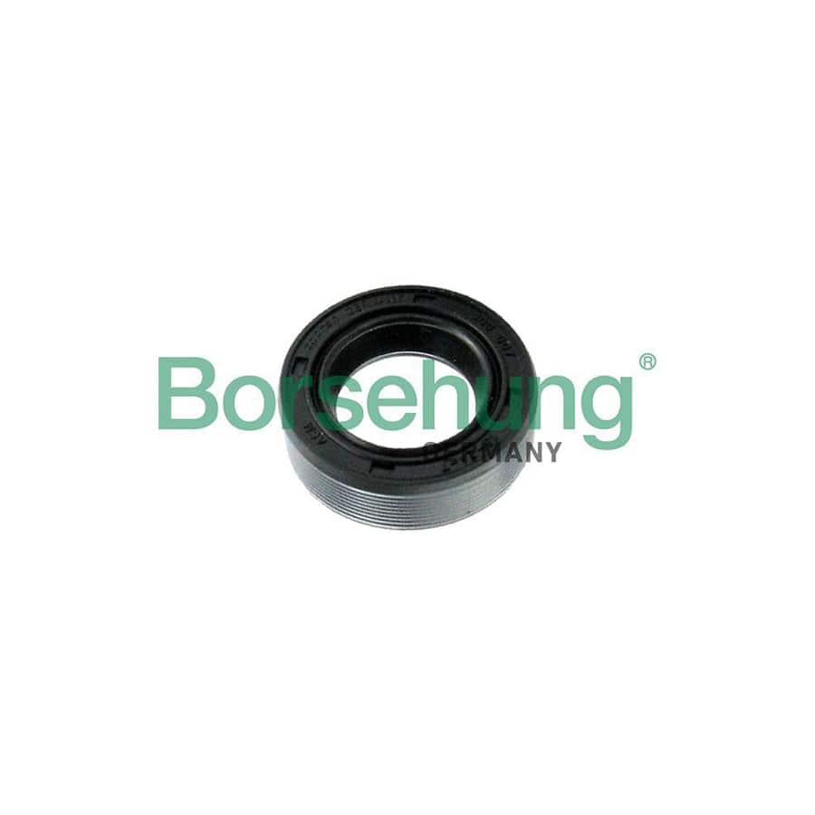 Borsehung B17837 Shaft Seal, Manual Transmission