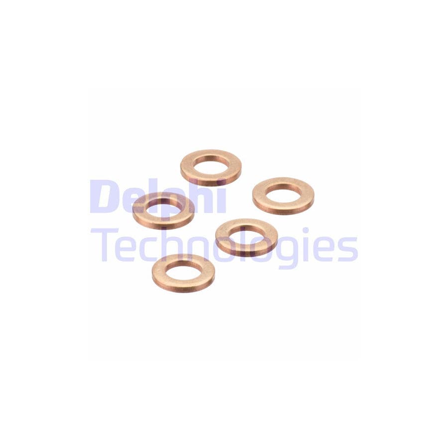 Delphi 9001-850R Seal Ring, Injector