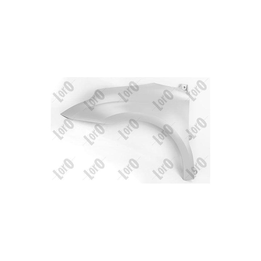 Abakus 00916201 Wing Fender for Citroen C4