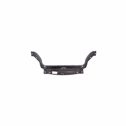 Abakus 00924101 Front Cowling for Peugeot Partner
