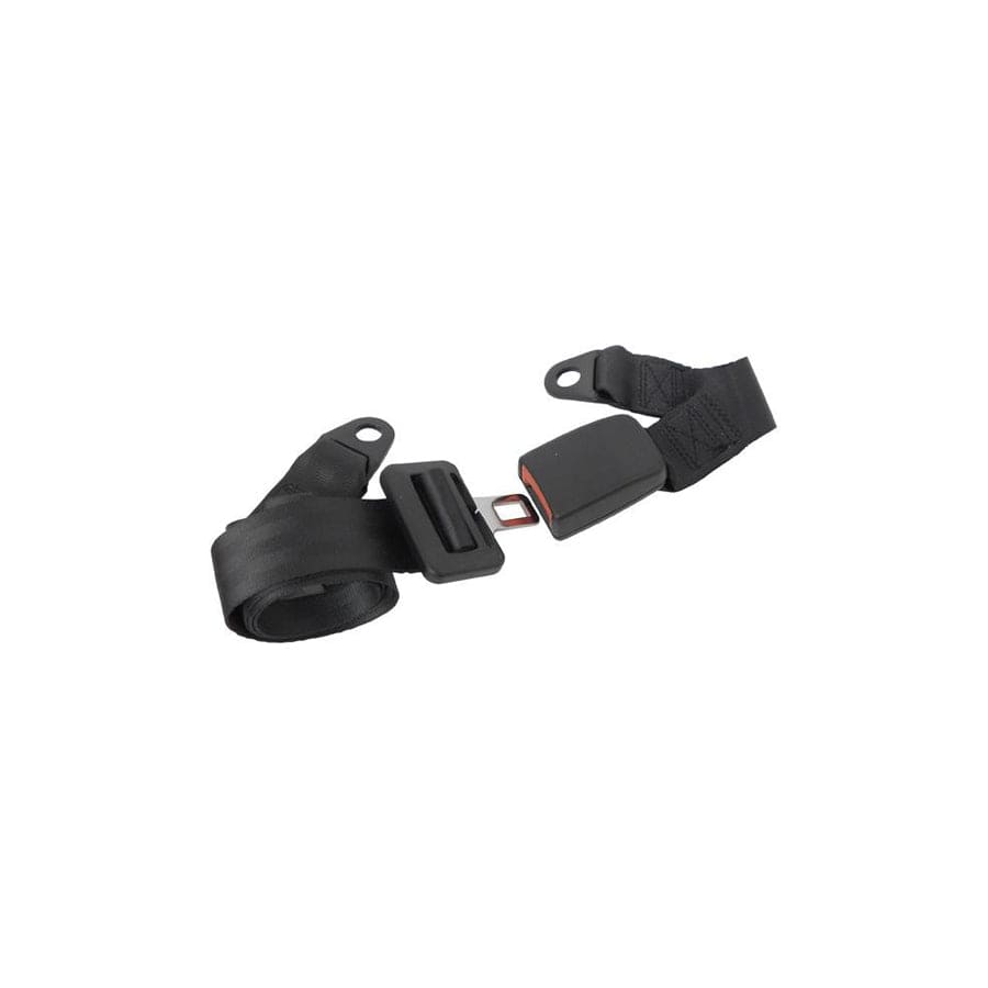 Carpoint 1434601 Safety Belt